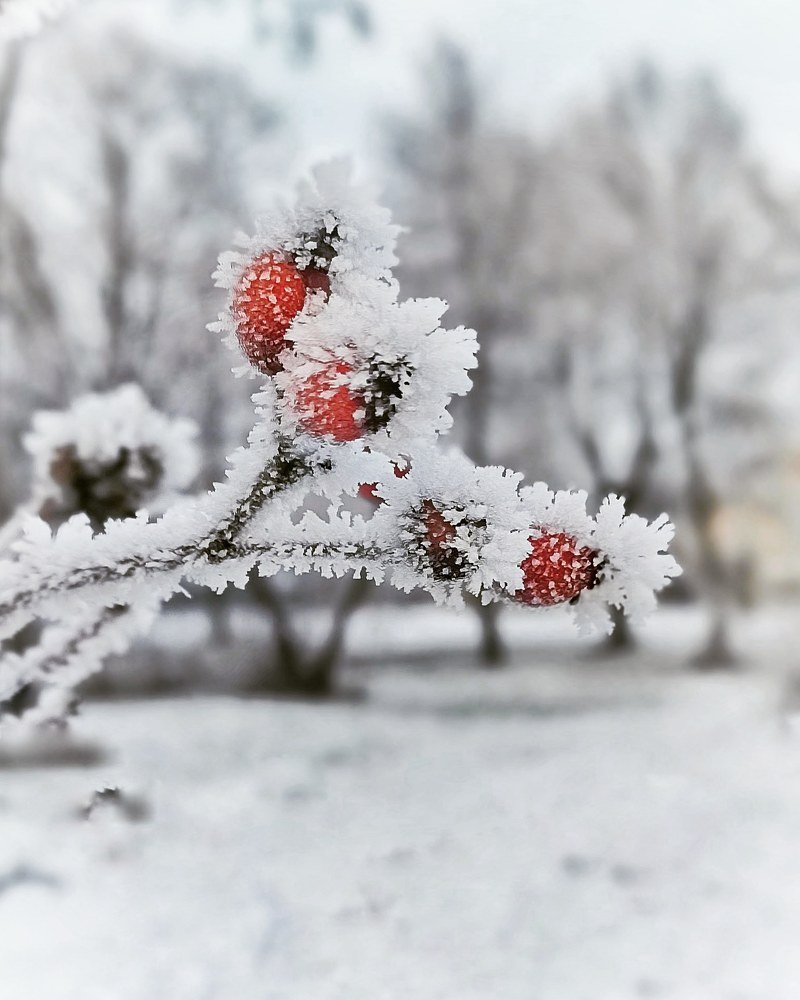 Photograph by Наталья Исиченко