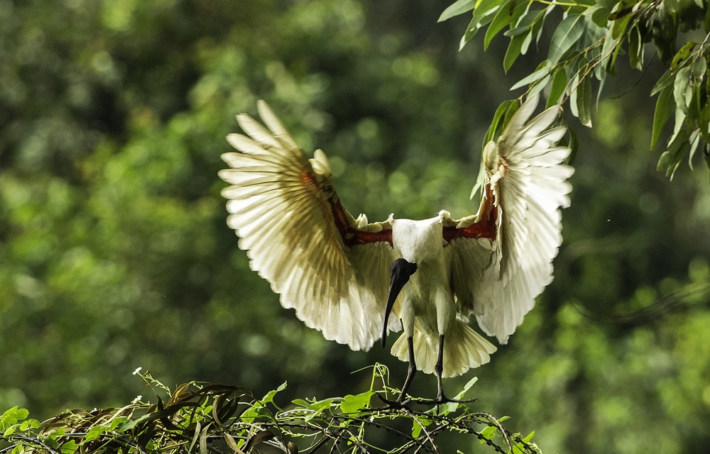 Photograph by Sonika Sharma