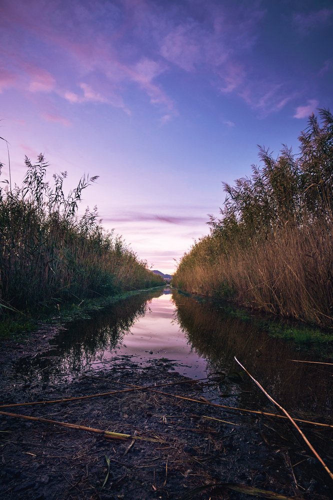 Photograph by Boris Vasilenko