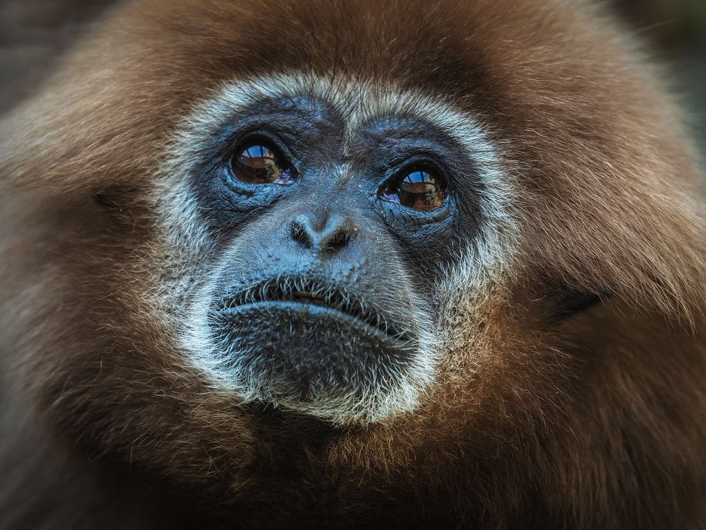 Photograph by Олег Чипура