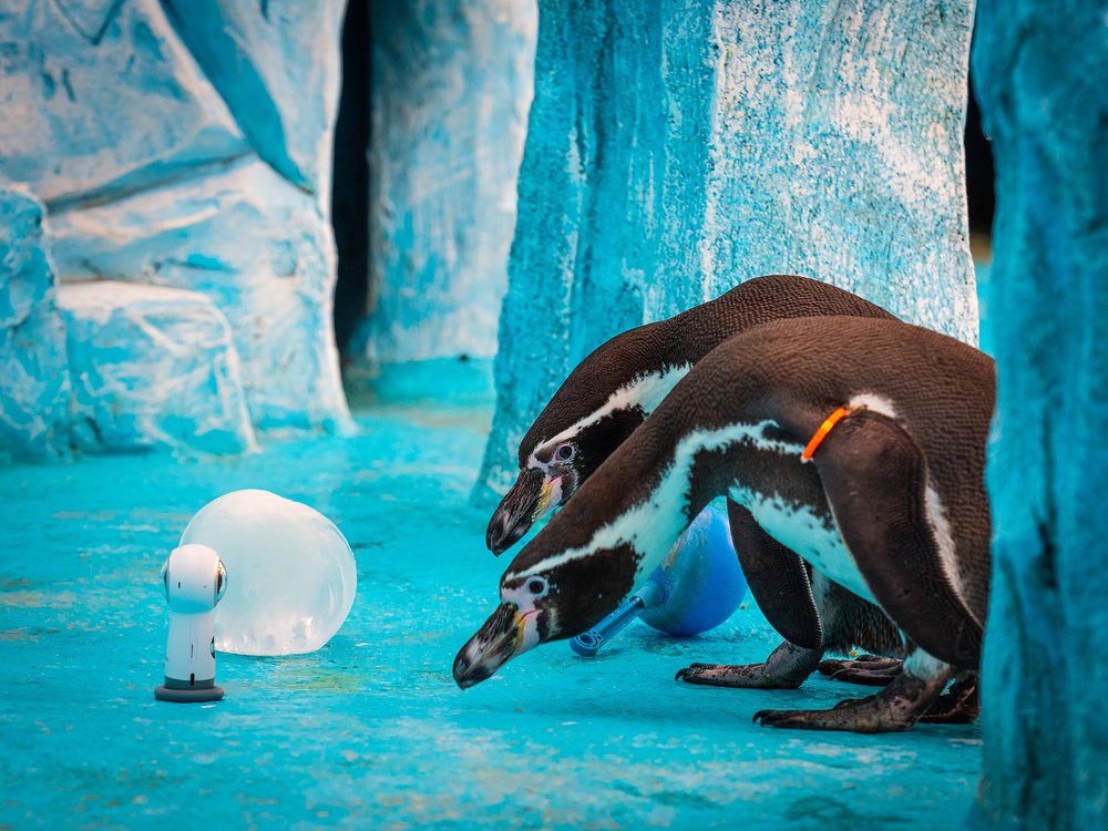 Photograph by Олег Чипура