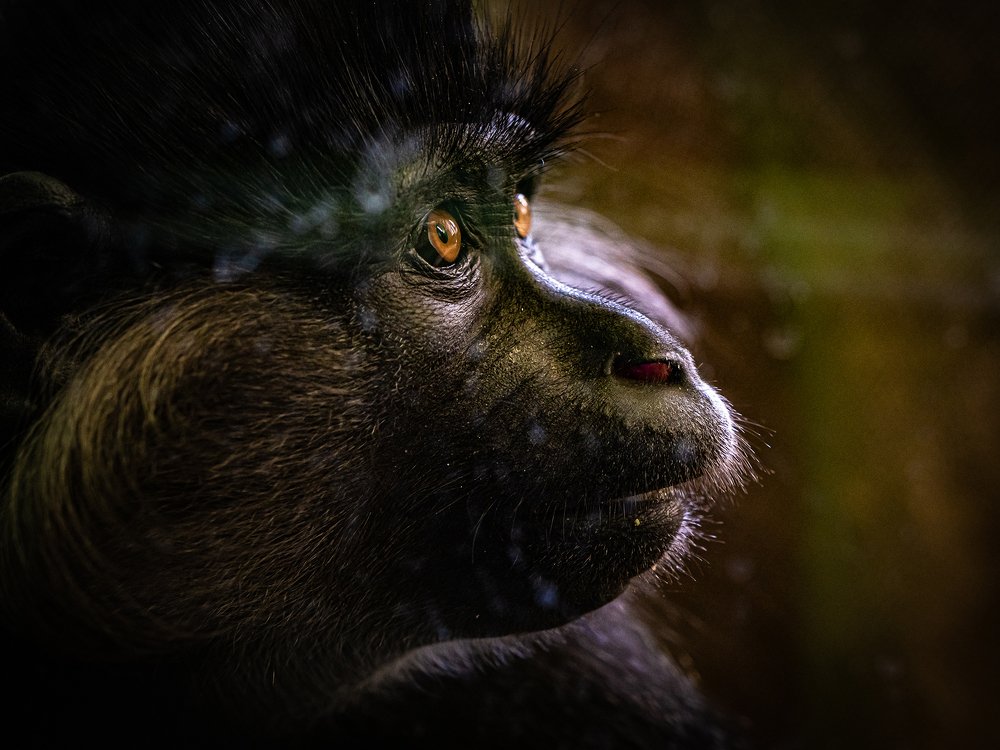 Photograph by Олег Чипура