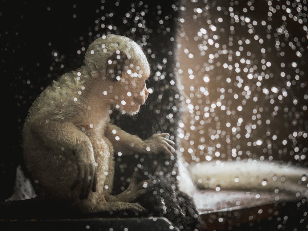 Photograph by Олег Чипура