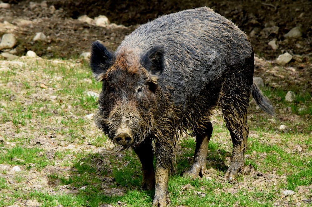 Photograph by Csótai Katalin