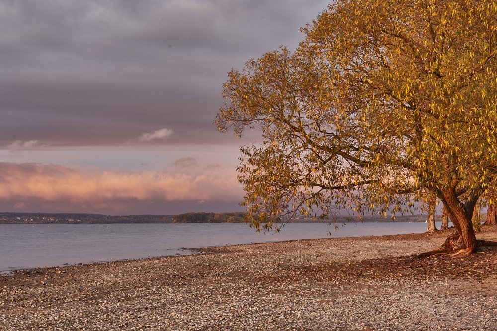 Photograph by Татьяна Полянская