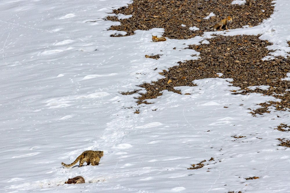 Фотография автора Ashok Behera