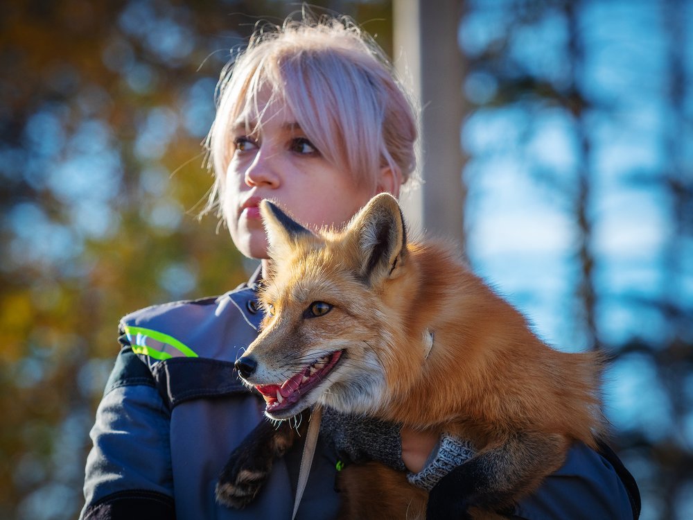 Работа мечты.