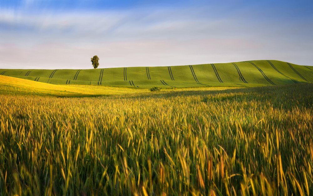 Фотография автора Mariusz Mackiewicz