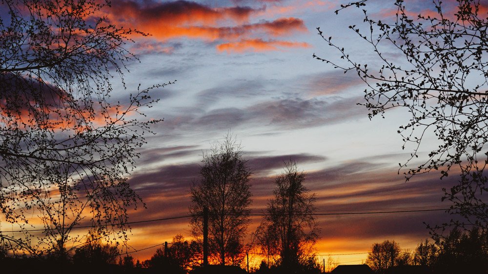 Фотография автора Дмитрий Земсков