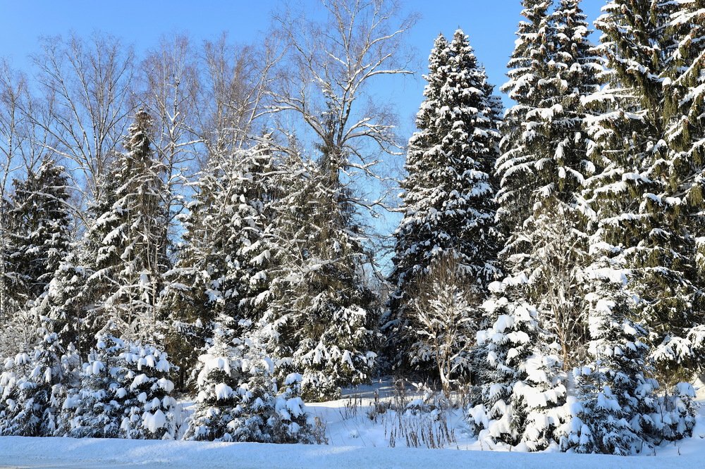 Photograph by Константин Лагоденко