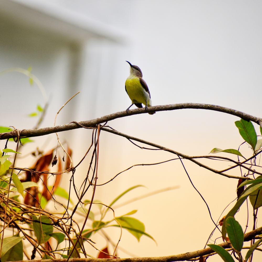 Photograph by Anjali KM