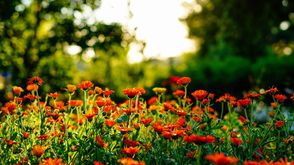 Фотография автора Дмитрий Земсков