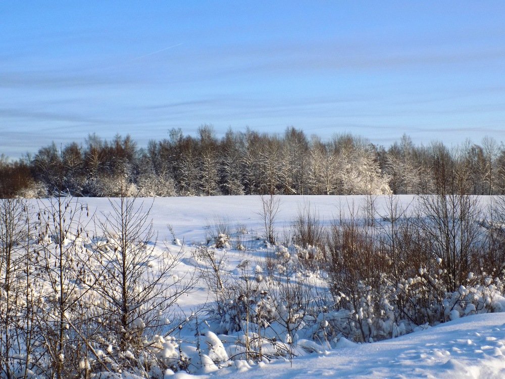 Photograph by Валентина Смирнова