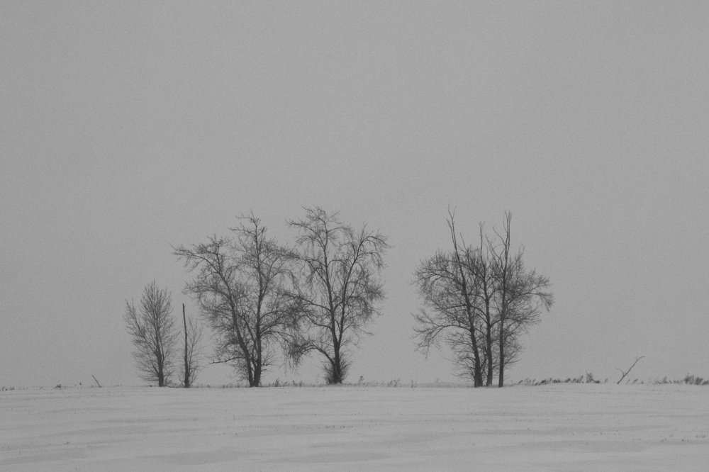 Photograph by Алёна Гильмуллина