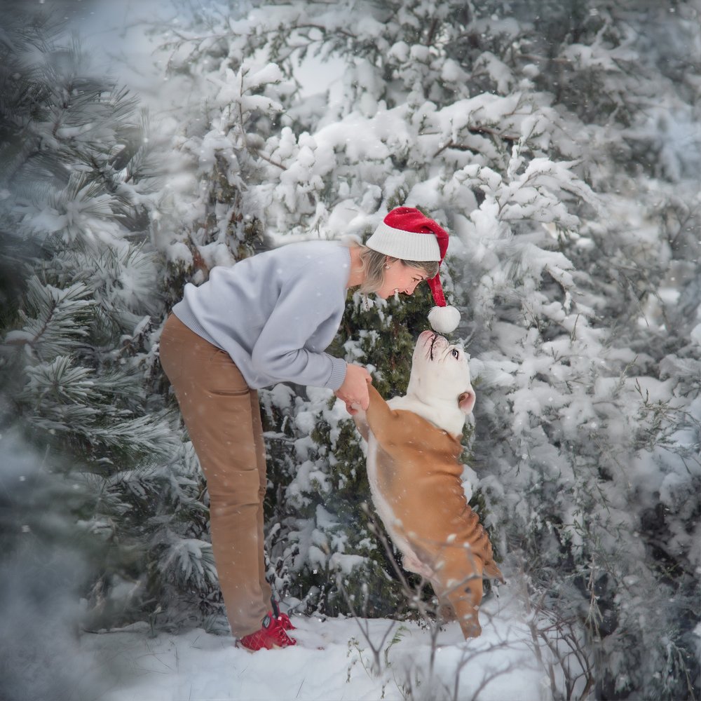 Photograph by Ирина Шафрановская