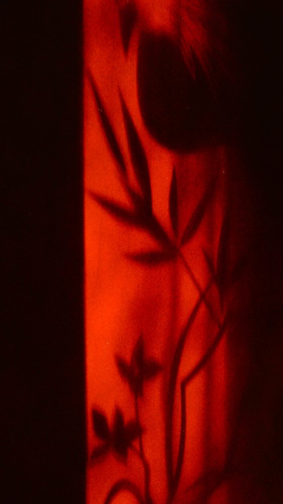 Фотография автора Дмитрий Земсков