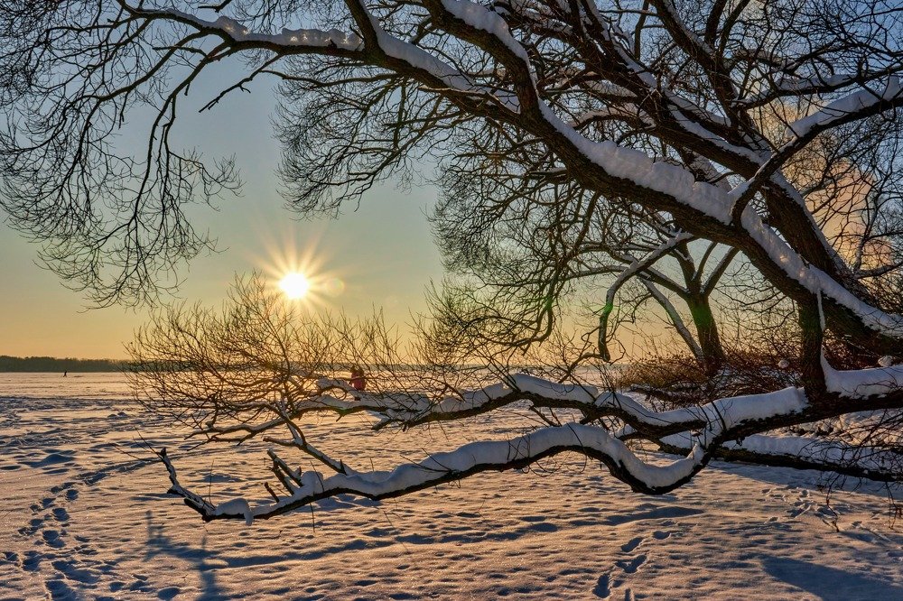Photograph by Татьяна Полянская