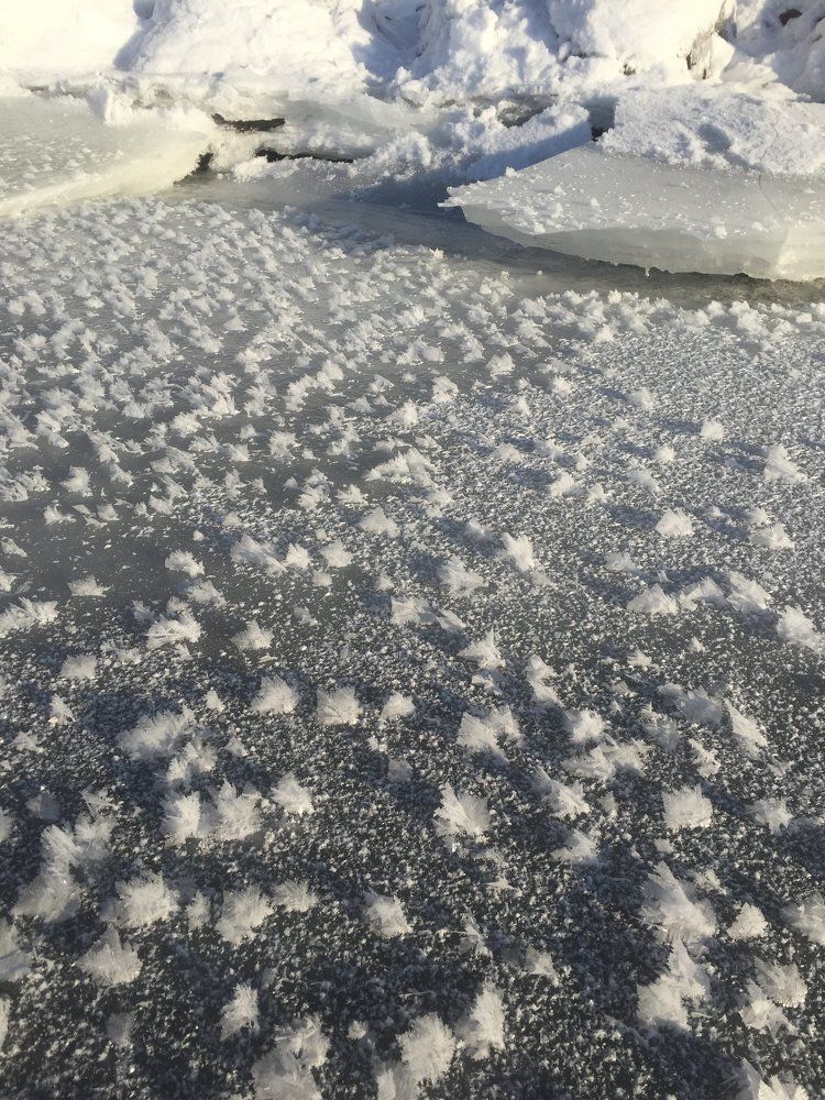 Фотография автора Livija Salauskiene