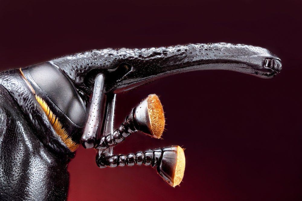 Photograph by Pedro Luis Ajuriaguerra Saiz