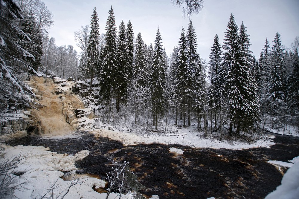 Photograph by Yuliya Ilina