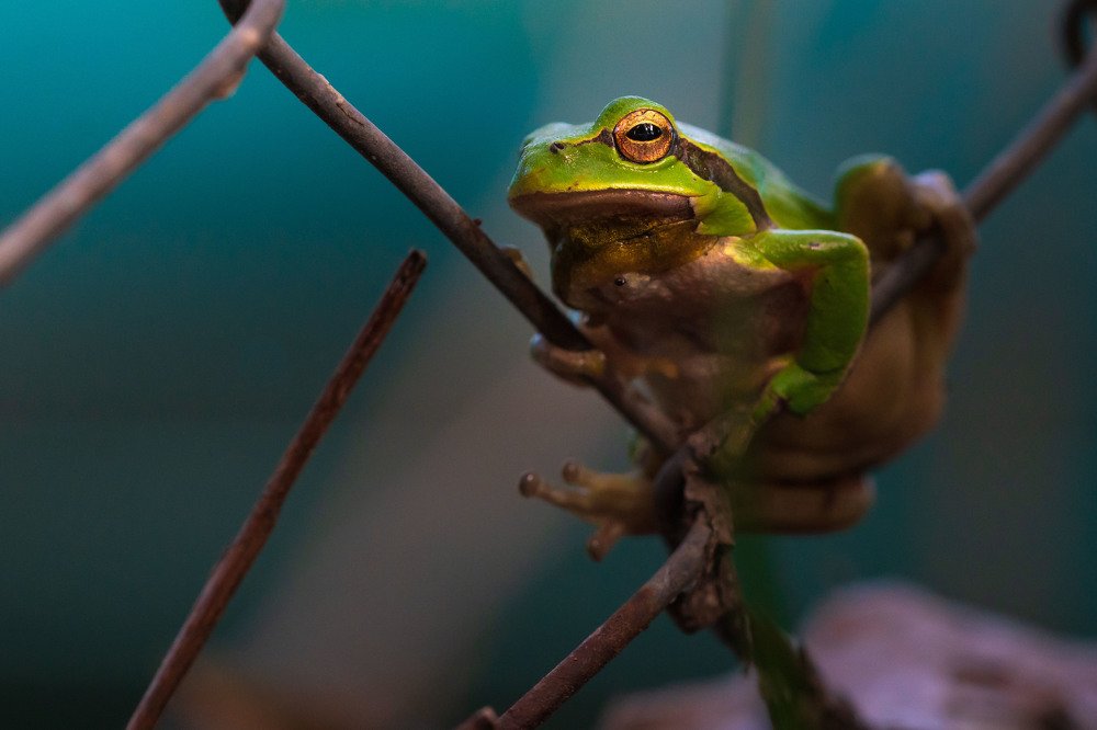 Photograph by Chris Stavrakas