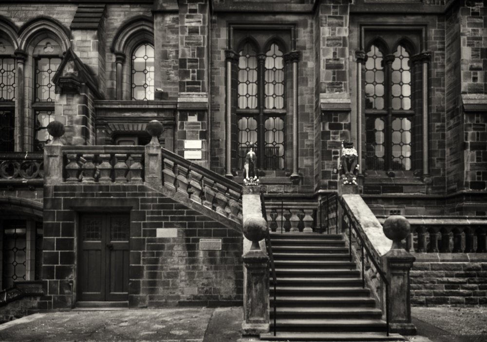 Фотография автора Sherine El Mously