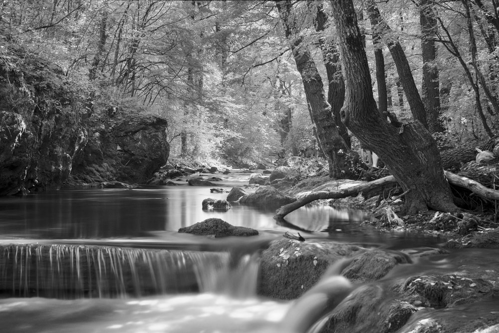 Photograph by Dragan Cerovic