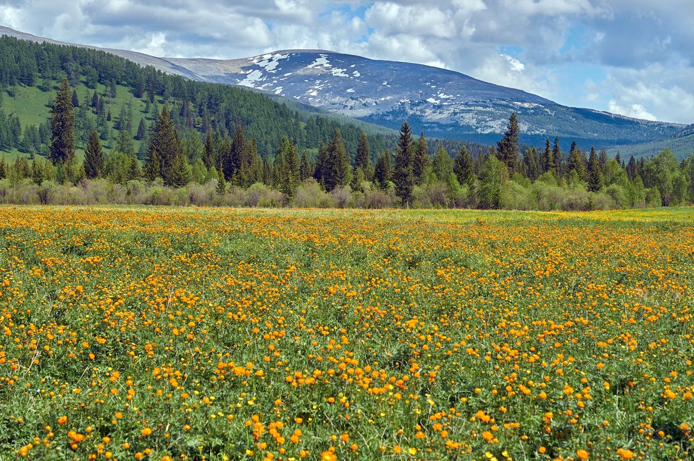Photograph by Ирина Секачева