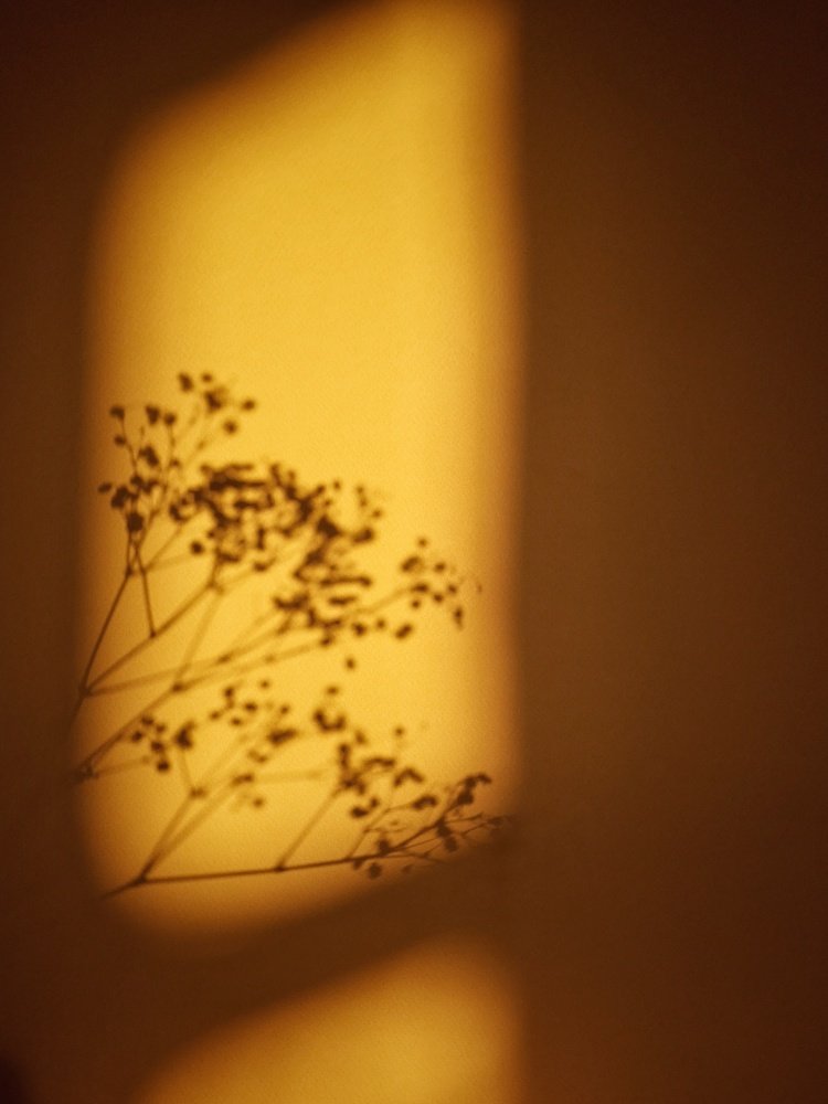 Photograph by Ирина Секачева