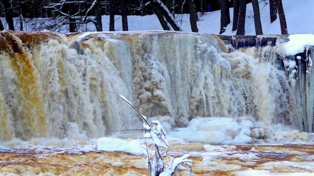 Photograph by Евгений Евдокимов