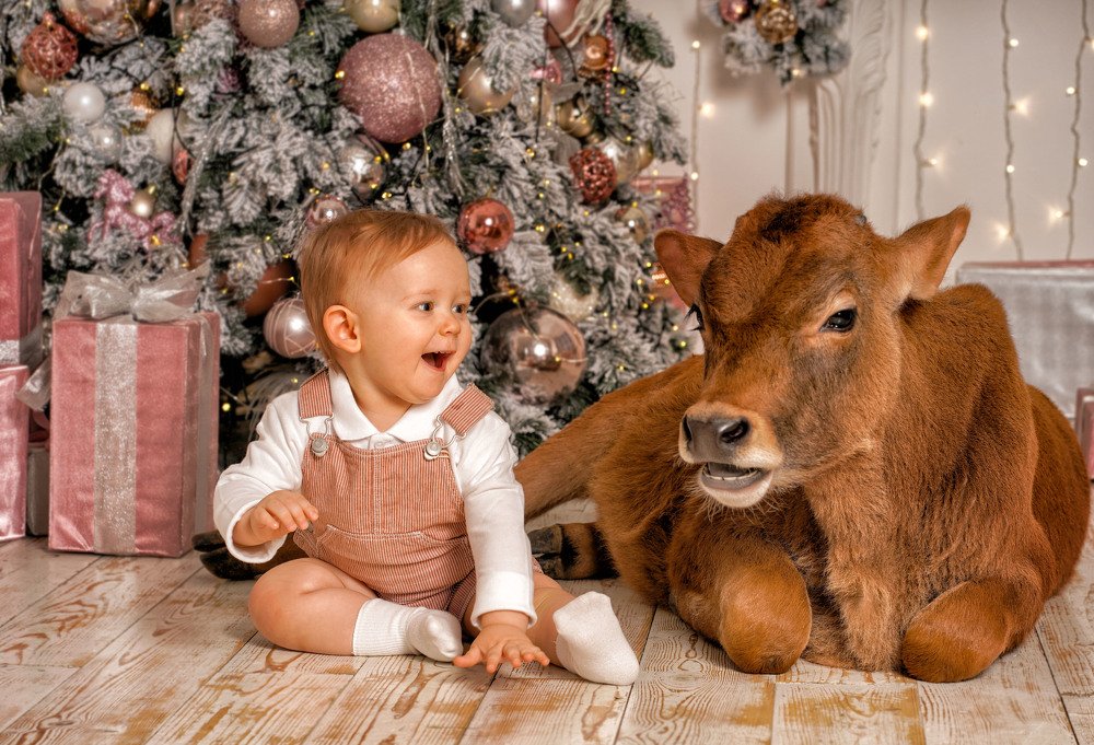 Photograph by Ольга Власкина