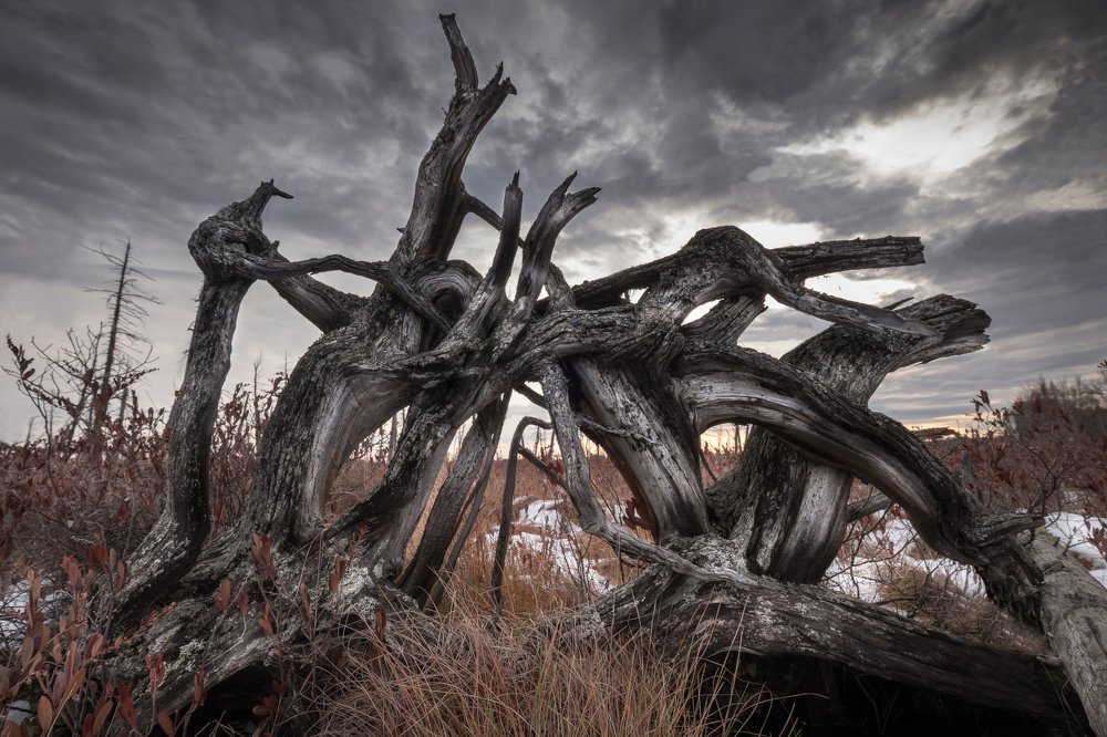 Photograph by Роман Грушевский