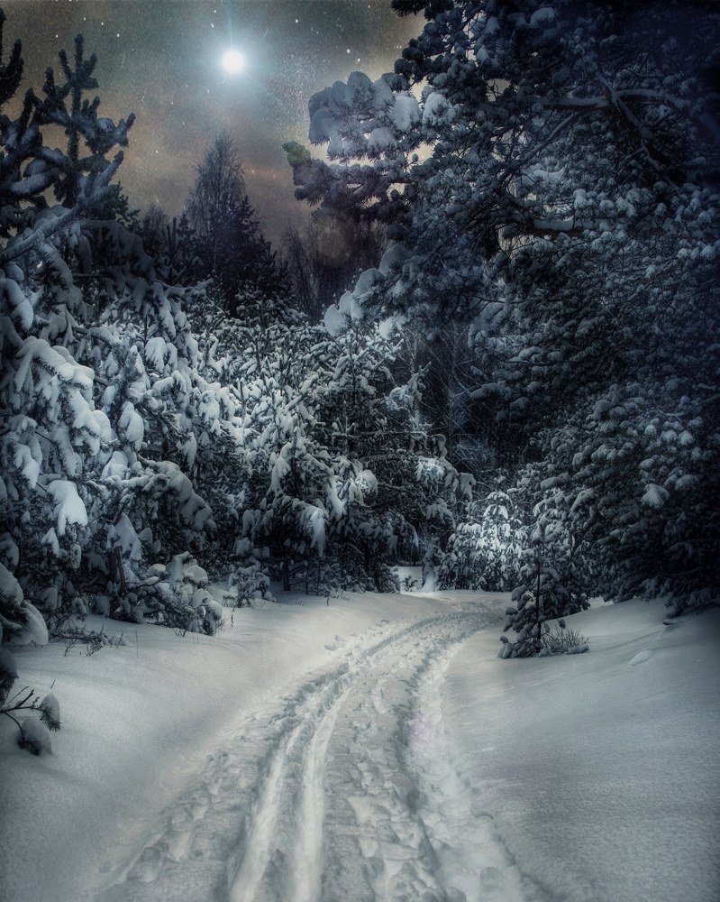 Photograph by Сергей Грицков