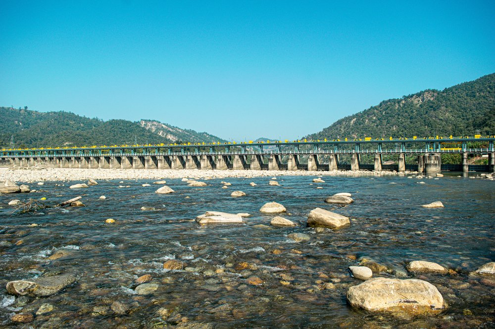 DAm holding the water