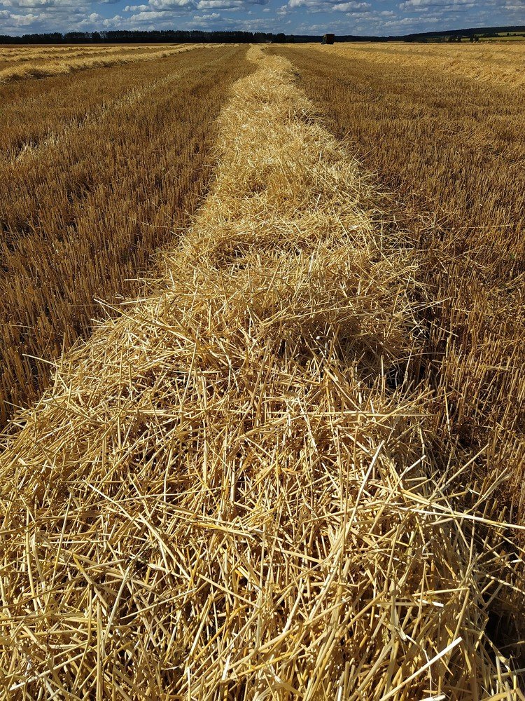 Photograph by Игорь Улитин