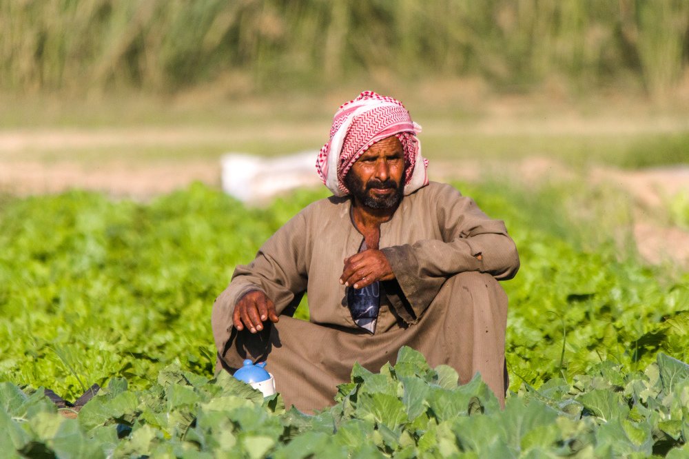 Photograph by Safdar Bin abbas