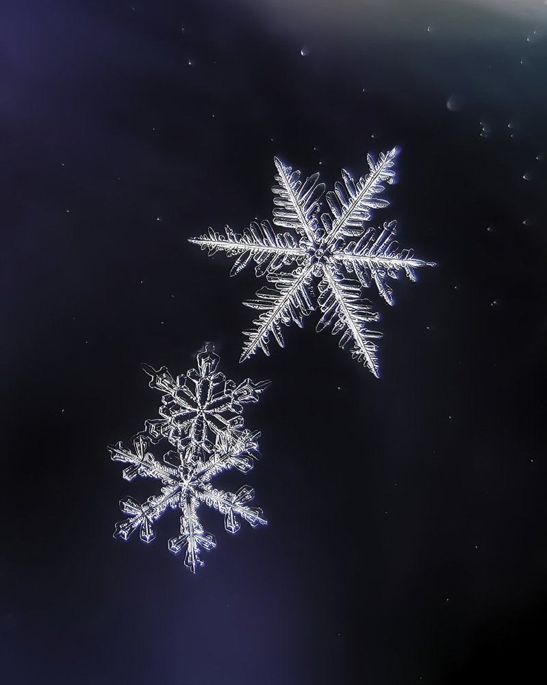 Фотография автора Наталья