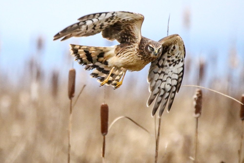 Photograph by Kenneth Tan