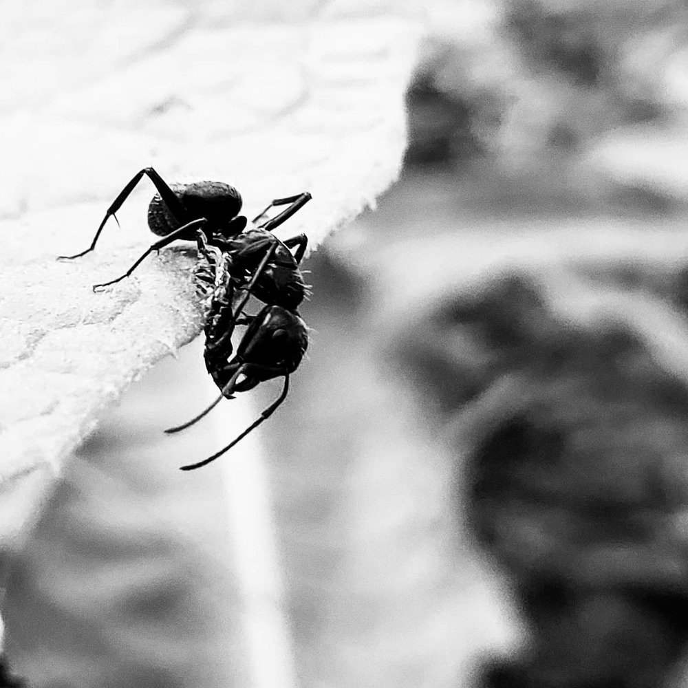 Photograph by Sharon Sabharwal