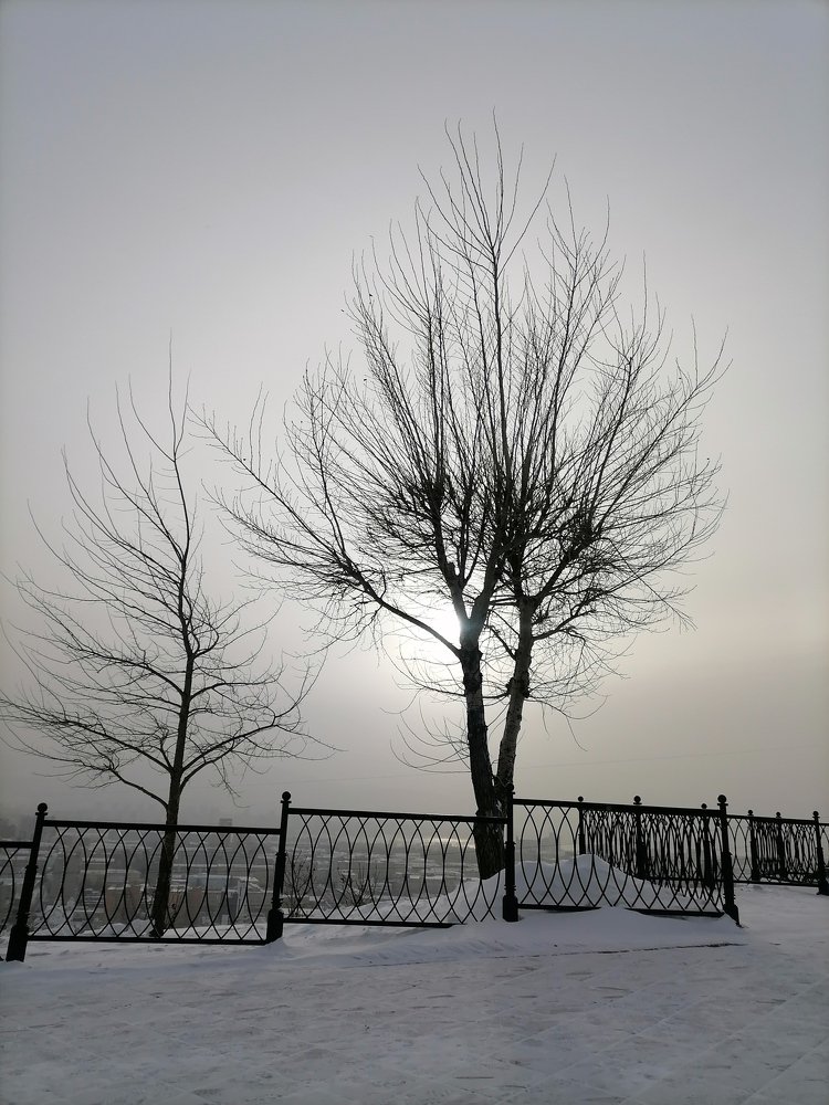 Photograph by Юлия Гагарина