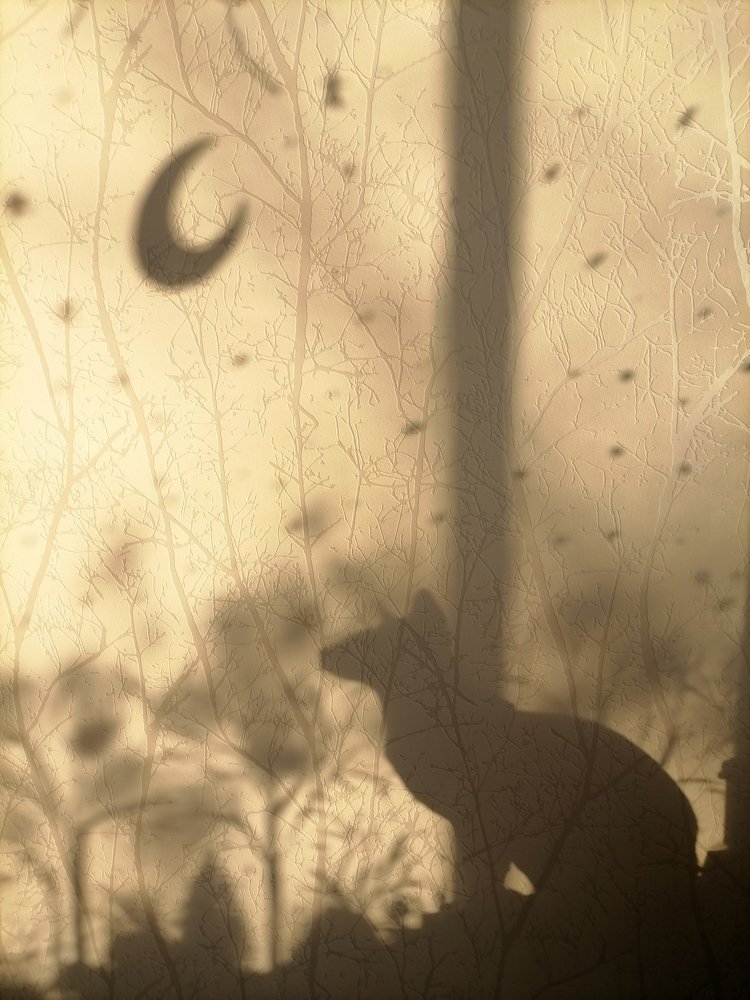 Photograph by Юлия Гагарина