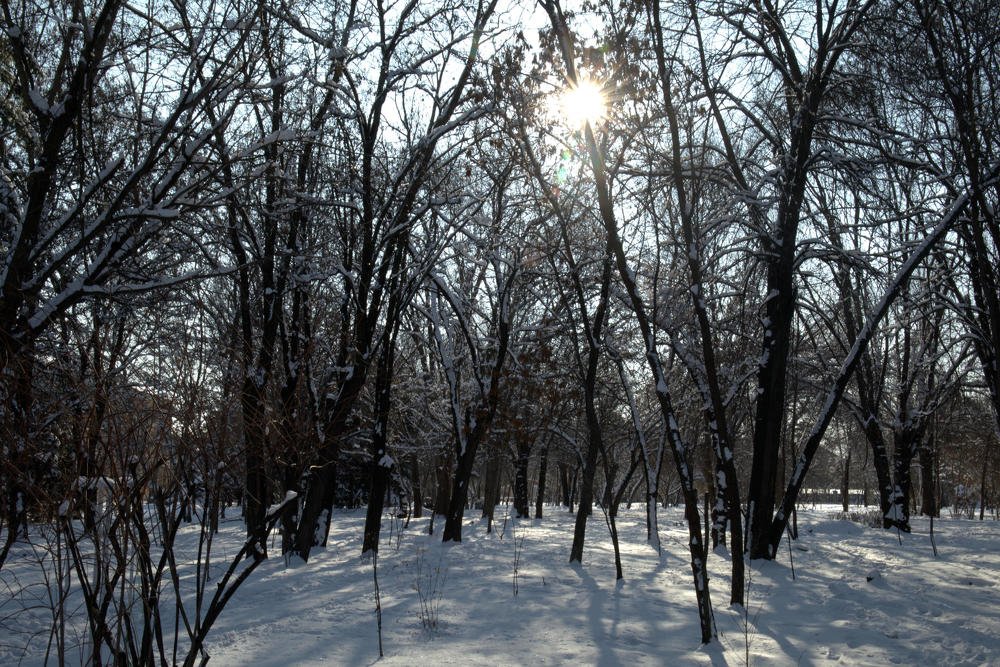 Photograph by Роман