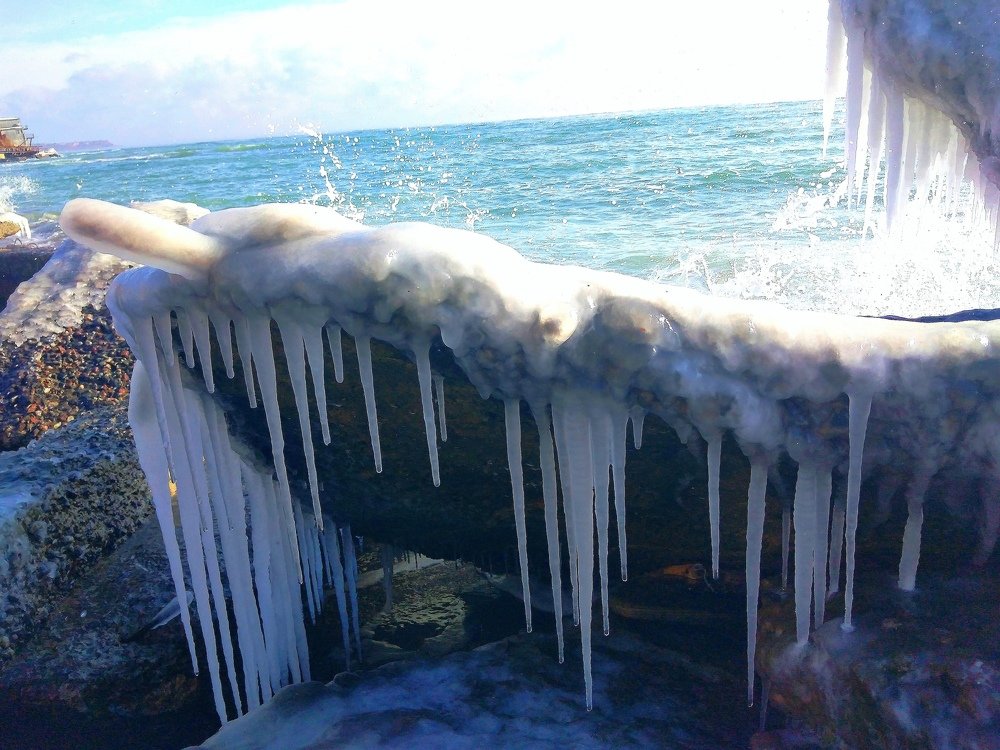Photo #5546246