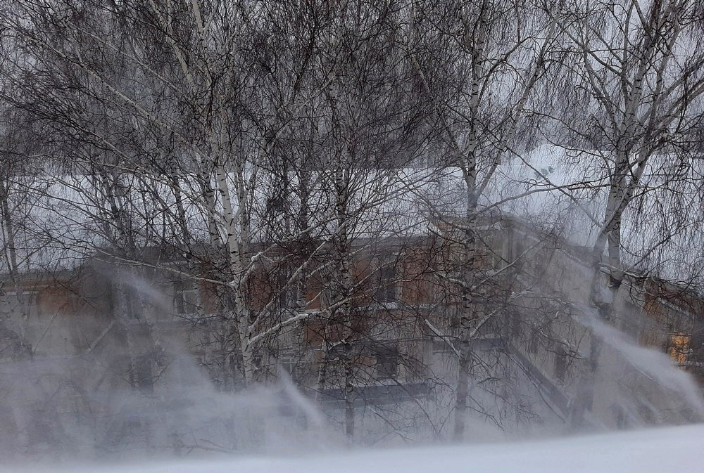 Фотография автора Владимир