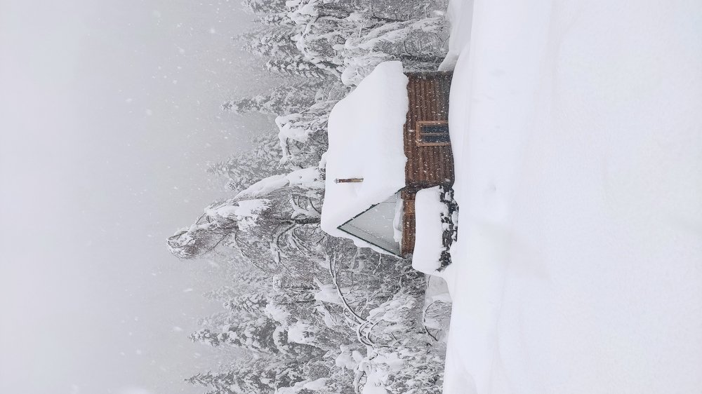 Photograph by Олег Карданов