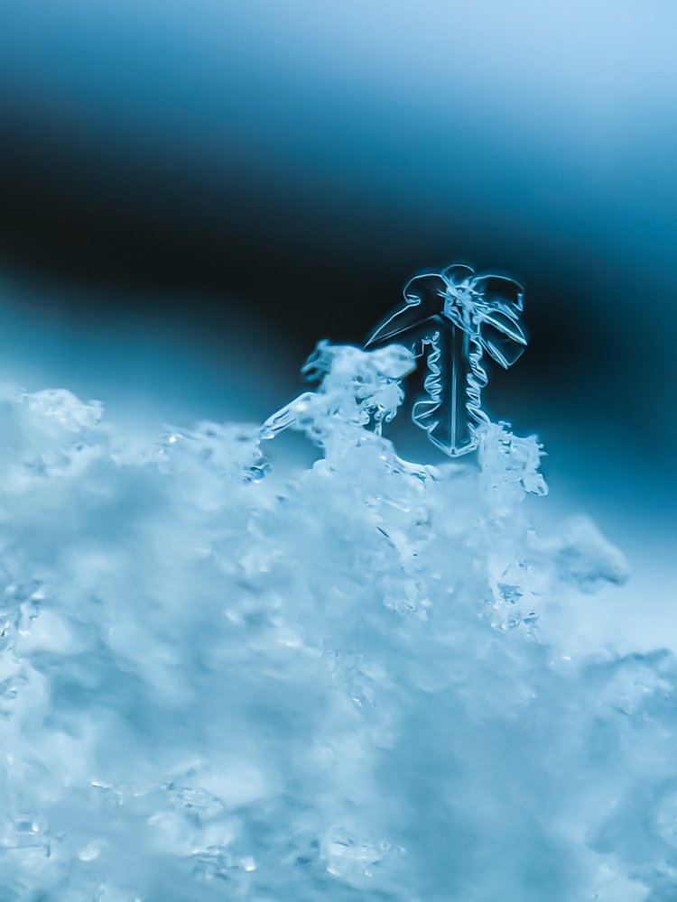 Photograph by Алеся Писнова