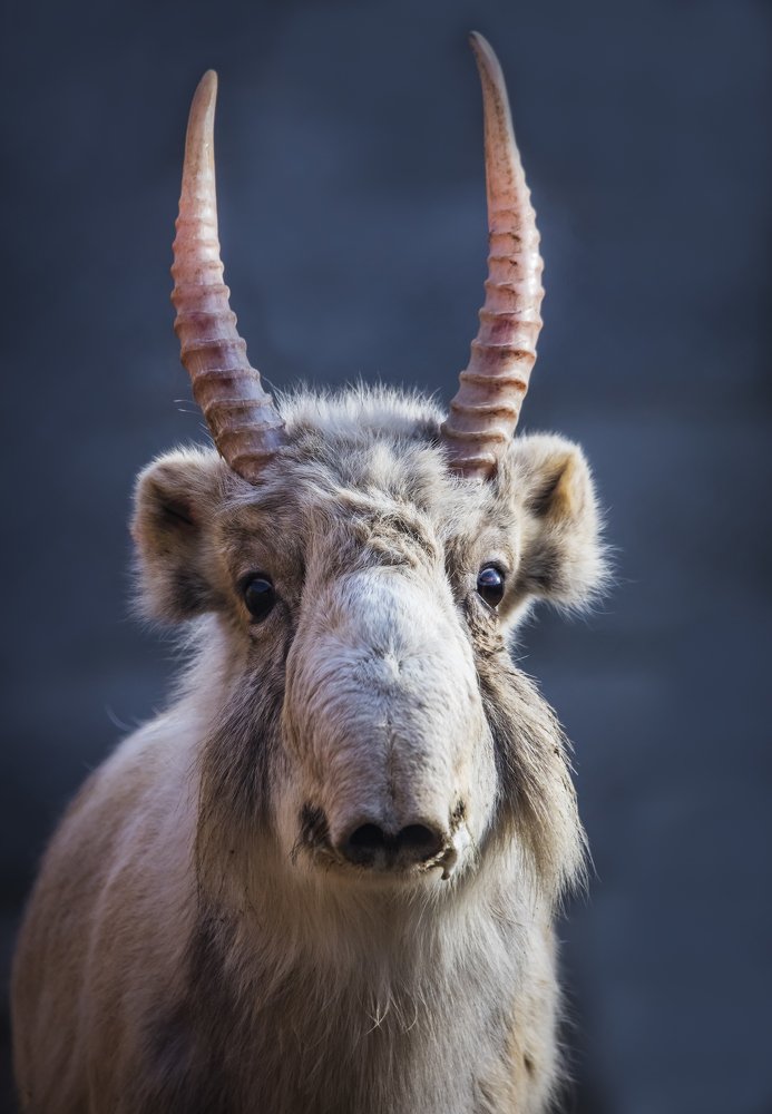 Photograph by Салторе