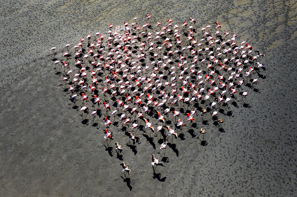 Photograph by ekrem sahin