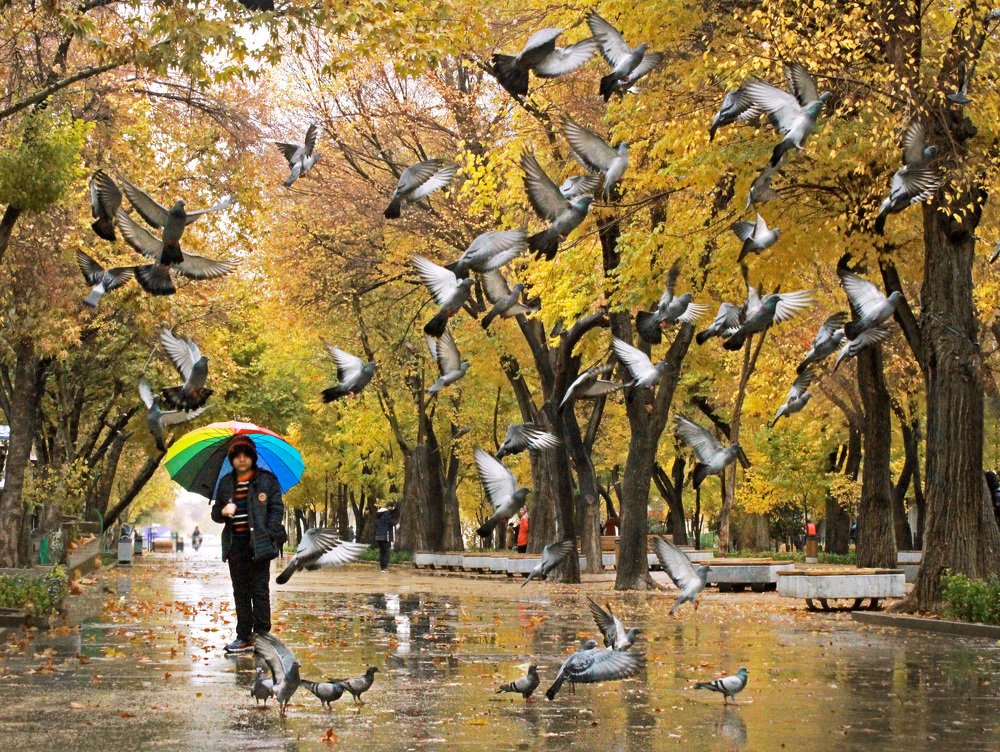 Photograph by safoura asghari