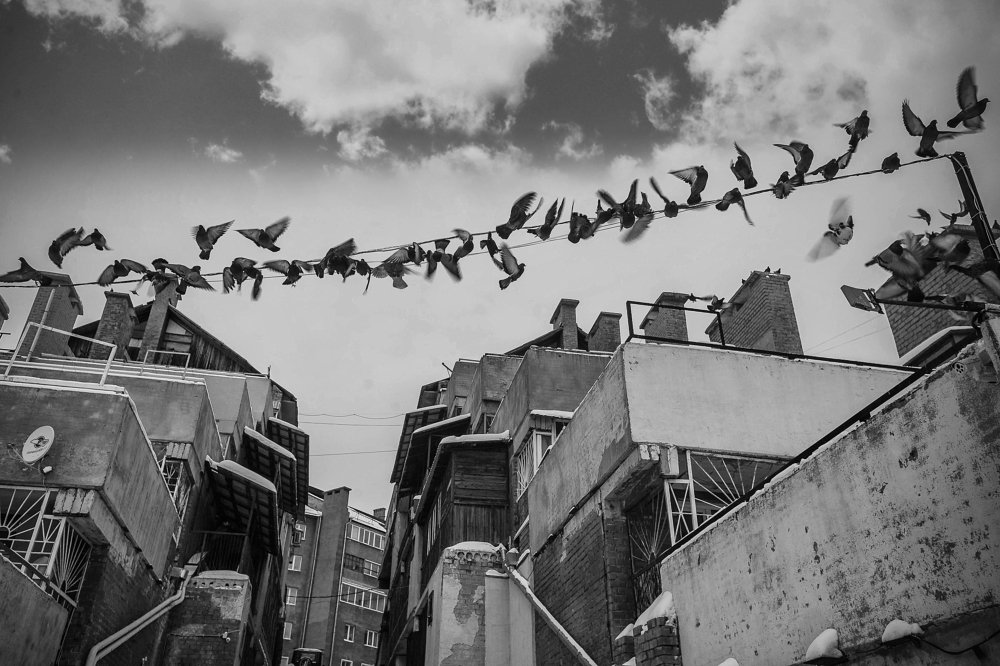 г.Кемерово пер. Щегловский